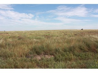 Property photo 58 - LAND AUCTION, 3255+/- Acres offered in 13 Tracts